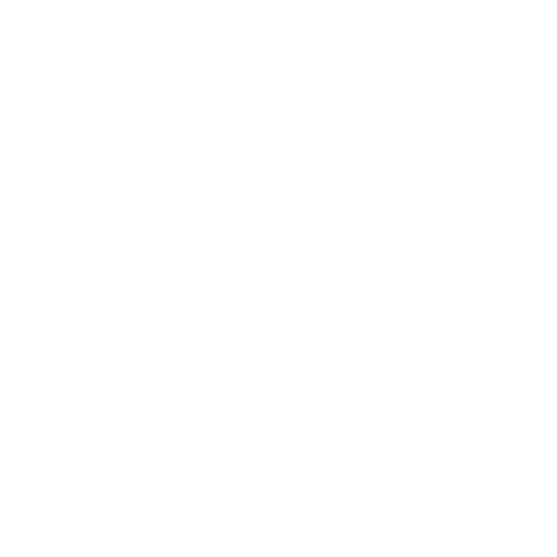 aadiyaai it worker
